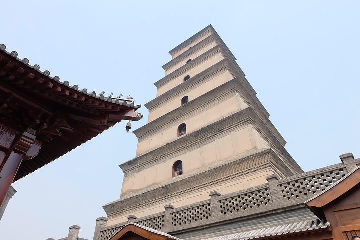 Private Tour: Xi'an Half Day - Shaanxi History Museum and Big Wild Goose Pagoda image