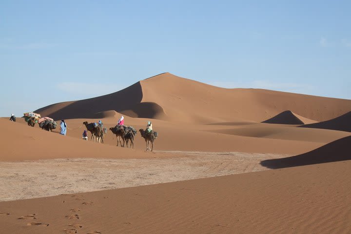 Southern Morocco Travel and Camel Trek from Marrakech to Mhamid for 8 days image