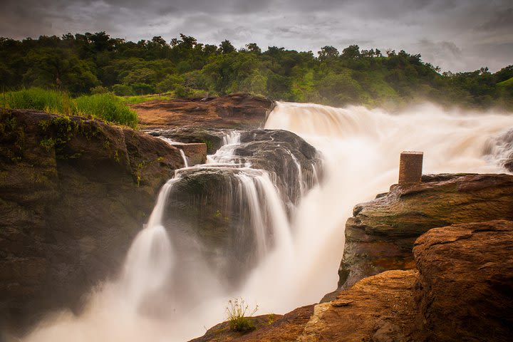 6 Days Murchison Falls Expedition: Rhinos, Water Falls & Chimpanzees  image