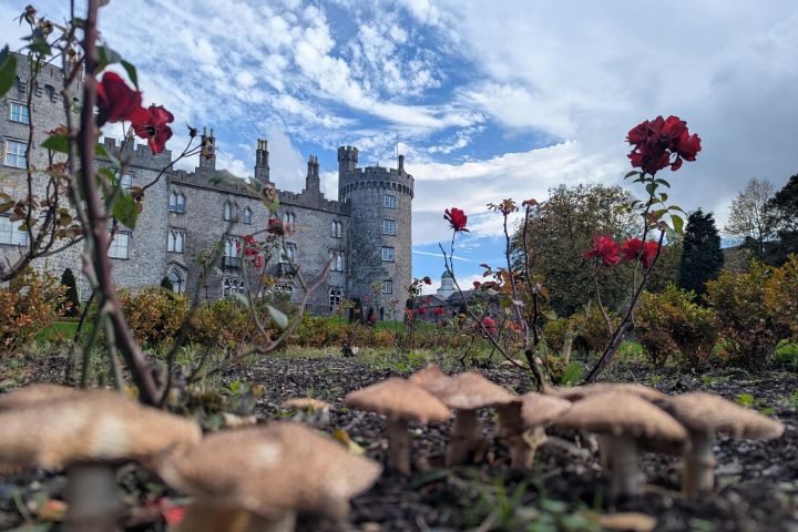 Private walking Tour of Kilkenny. English, French or German image
