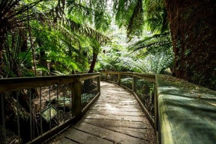 12 Apostles Eco-Friendly Great Ocean Road Iconic Adventure from Melbourne image