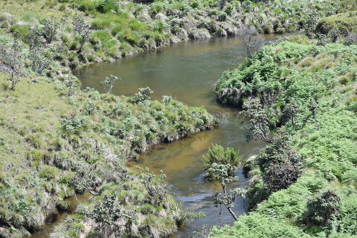 Horton Plains National Park Entrance Ticket image