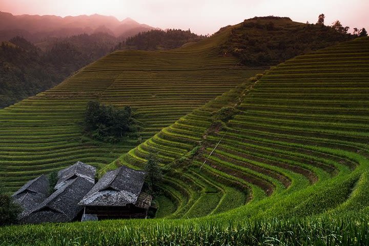 Mini Group: Longji Rice Terraced Fields and Minority Villages Tour image