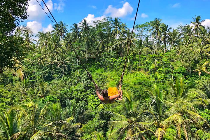 Exciting RAFTING & Bali SWING image