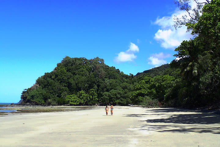 Cape Tribulation Day Tour from Cairns image