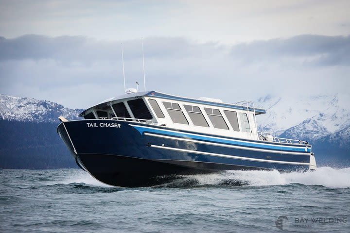 Hoonah Whale-Watching Cruise image