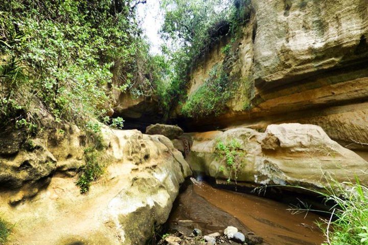 1 Day Hells gate and Lake Naivasha Tour From Nairobi image