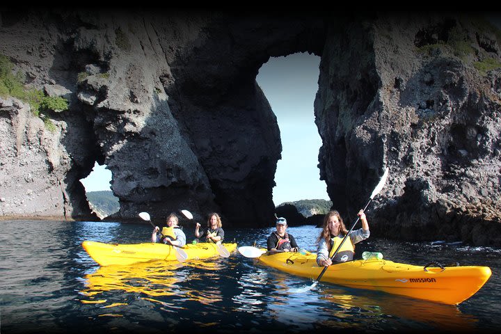 Volcanic Coast Day Trip In Opito Bay image