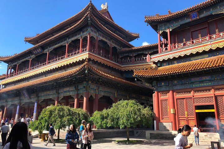 Temple of Heaven and Lama Temple Private Day Tour image