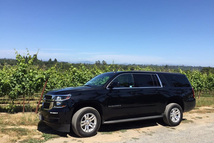 6 Hours in Private SUV - Napa Valley Or Sonoma Wine Tasting Tours image