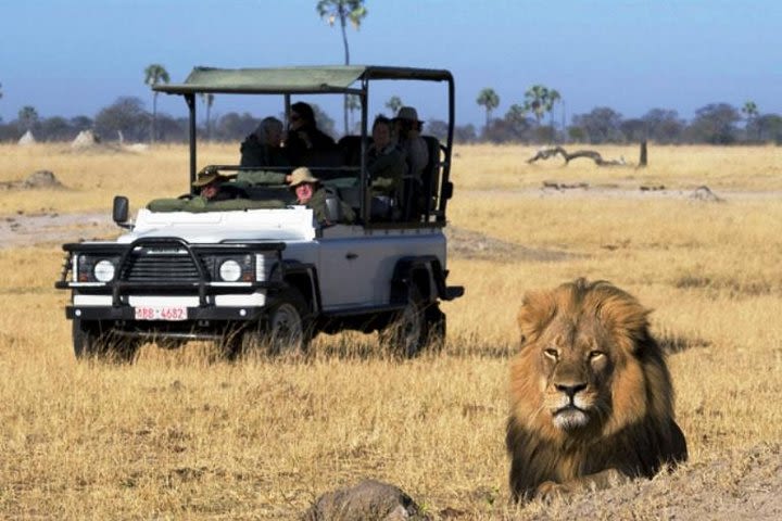 Chobe National Park 4X4 Day Safari and River Cruise image