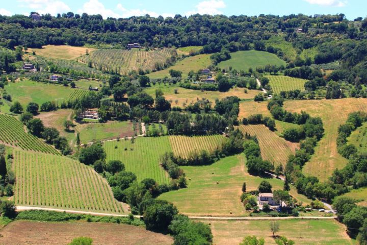 The Best of Orvieto: Day Trip from Rome image