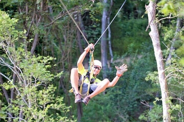 Treetop Express Zip Line Tour with 5 Zip Line Flights & 2 Sky Bridges Included image