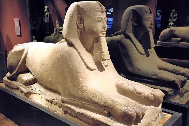 Egyptian Museum of Turin Private Tour with Expert Guide & Skip-the-line Tickets image