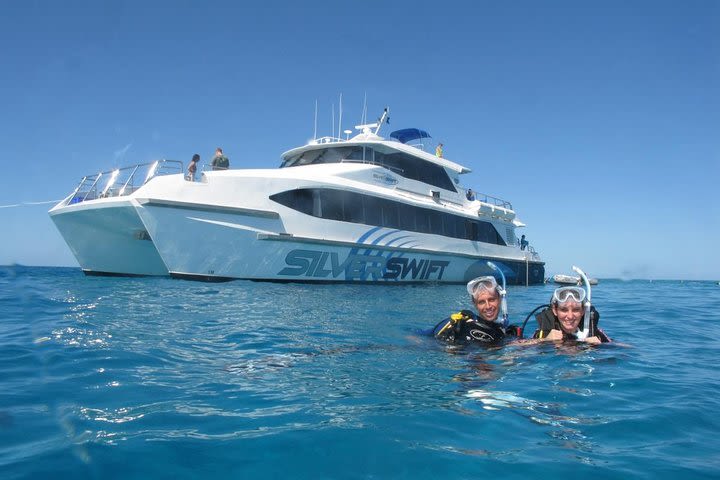 Silverswift Outer Great Barrier Reef Dive and Snorkel Cruise from Cairns image