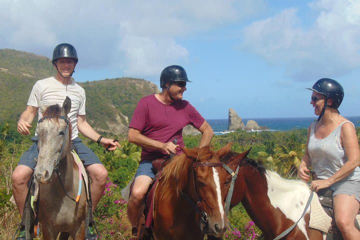 East Coast Horseback Riding Excursion St. Lucia image