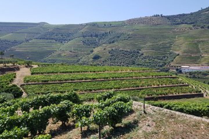 Private tour to Douro Valley from 1 to 4 passengers image