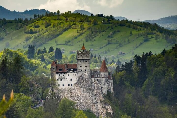 Private Tour from Brasov: Peles Castle, Bran Dracula Castle and Rasnov Fortress image