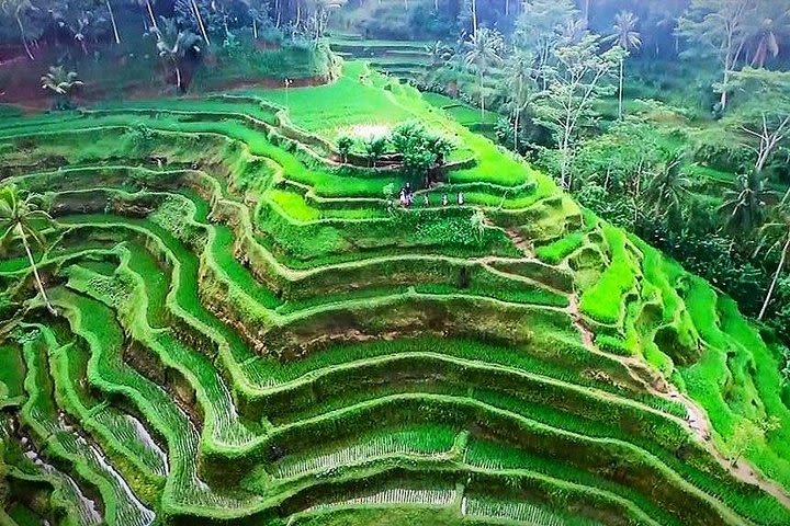 Bali 13h round trip - includes: Ubud, Swing, Waterfall, Volcano & Besakih Temple image