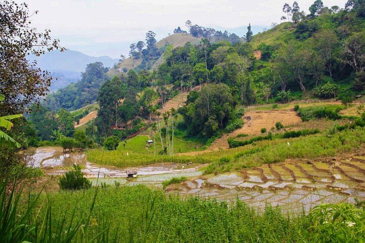 Trekking in Illukpelessa Village from Ella image