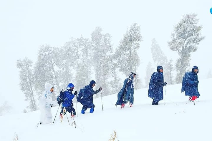 Patalsu Peak Trek image