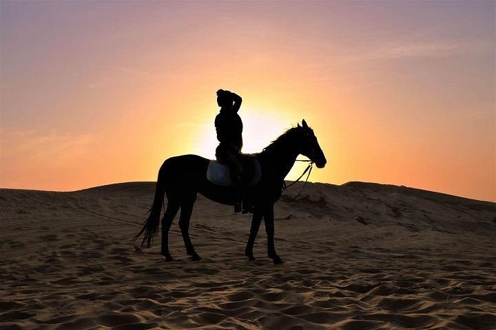 Dubai Desert Safari With Camel Ride, Horse Ride, Falcon Photography & Dinner image