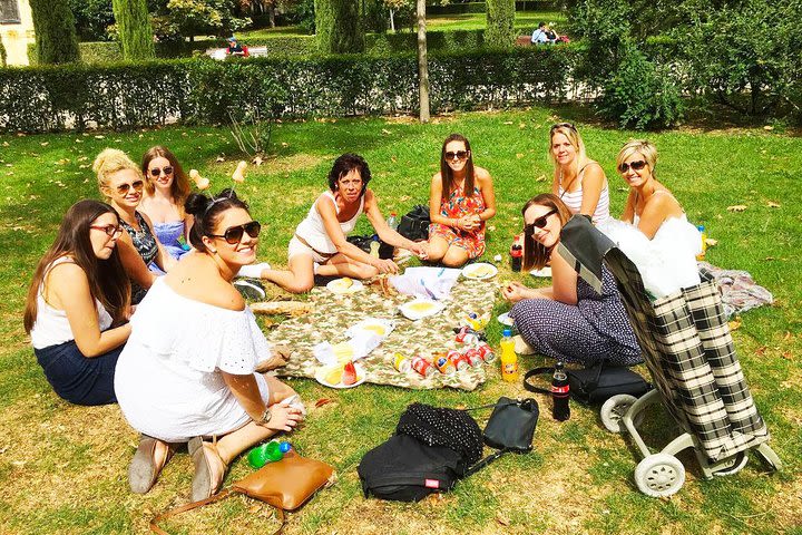 Pic-Nic Experience in Madrid with Games and Snacks image