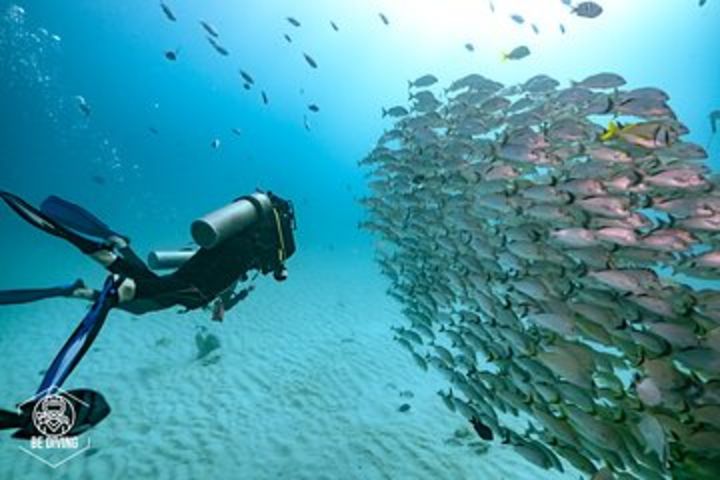 Local Dive in Playa del Carmen image