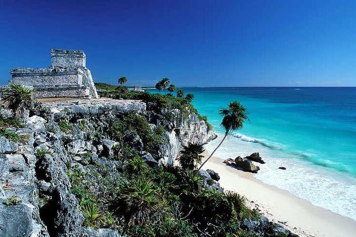 Full day tour to Tulum Coba Cenote and Playa del Carmen experience for one price image