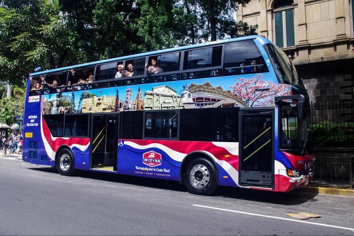 VIP City Bus From San José image