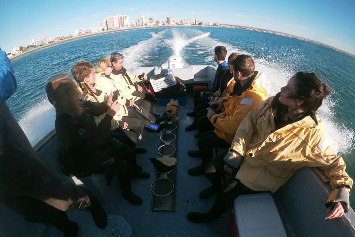 Snorkeling with Sea Lions in Puerto Madryn image