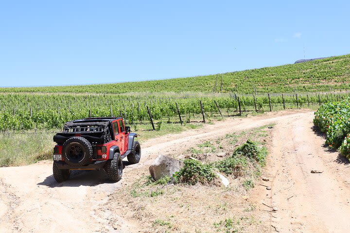 Full Day Stellenbosch Wine Tour image