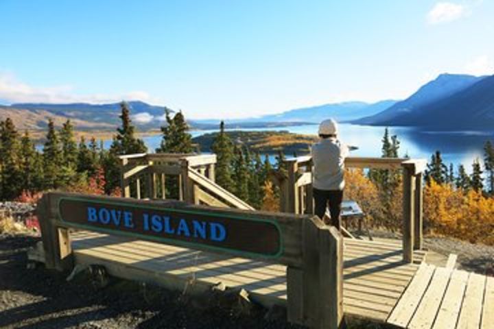 Arctic Day: Carcross & Southern Lakes Hiking Tour | full day image