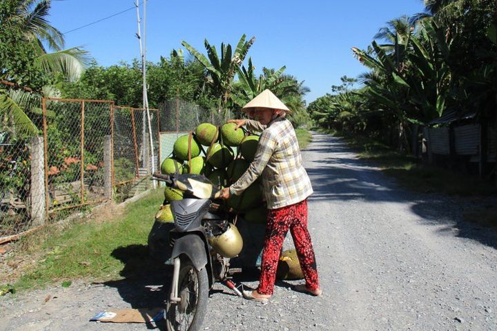 Bike,boat & Kayak The Mekong:two Days Activities image