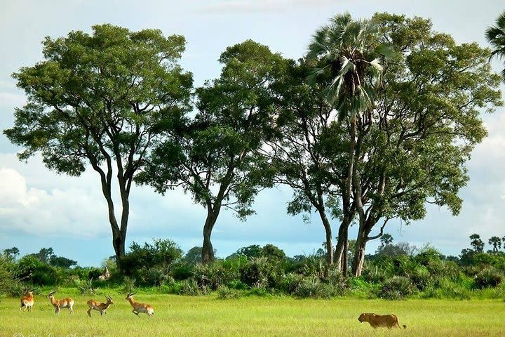 Conservation Awareness Tour image