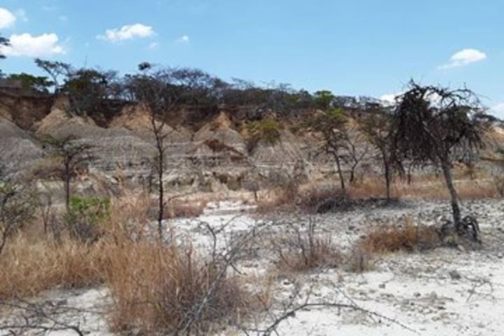 1-Day Isimila Stone Age Site image