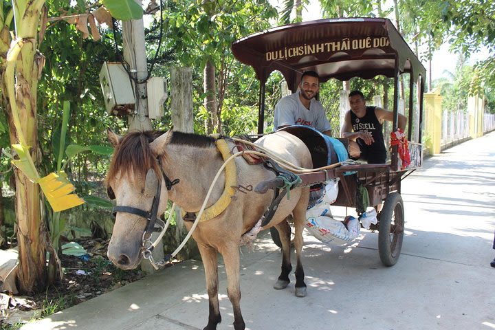 Mekong Delta 1 Day Tour image