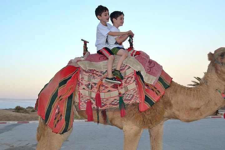 Morning Desert Safari with Camel Ride and Sand boarding image