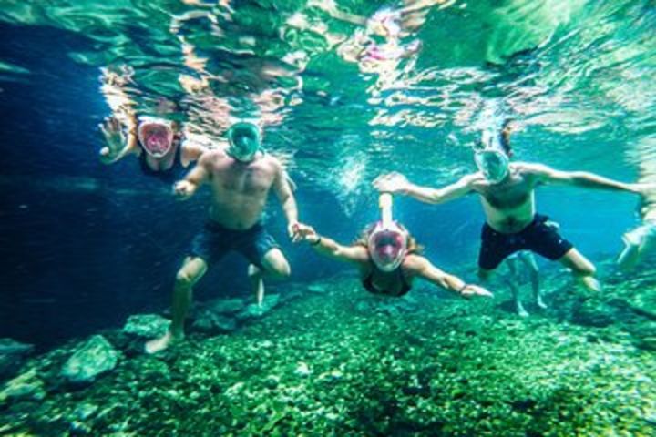 Cenotes Adventure from Playa del Carmen image