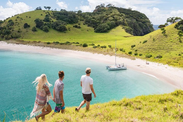 Island Hopper Day Cruise - sailing to wildlife sanctuary island - 6 hr cruise image