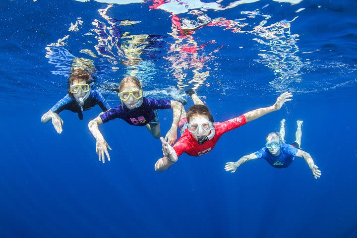 Snorkeling and Boat Tour in Crete image