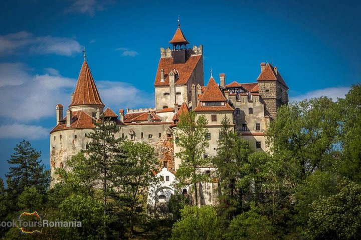 Dracula Castle, Peles Castle and Brasov - Private Day Trip from Bucharest image