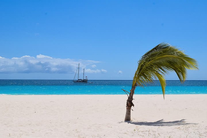  Barbados Small-Group or Private Option Island Highlights Half-Day Tour  image