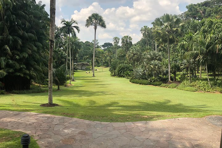 3 Hours Singapore Botanic Gardens Tour image