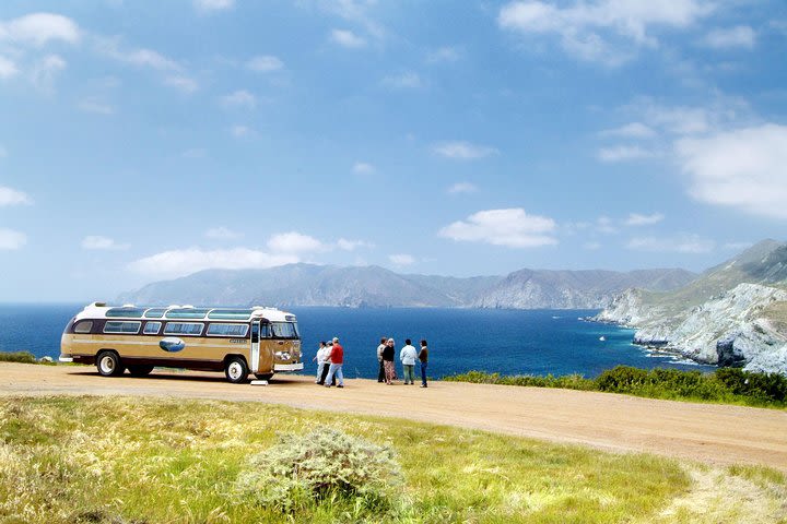 Catalina Island Day Trip from Anaheim with Avalon Tour image