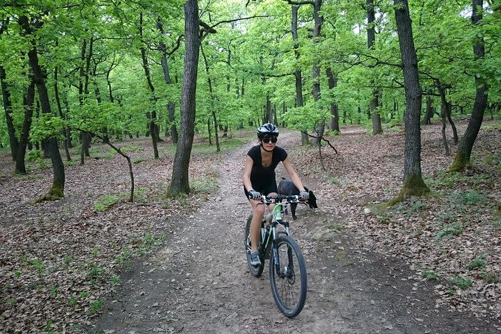 Fertő plateau e-bike tour image