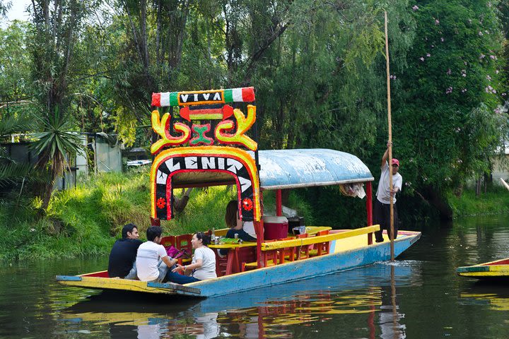 Private Tour to Xochimilco & Coyoacan image