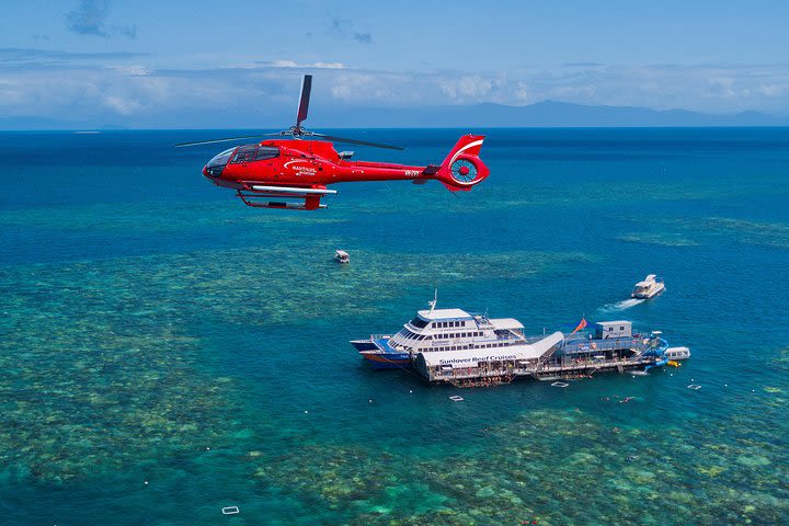 Cruise to Moore Reef Pontoon and Return Helicopter Flight from Cairns image