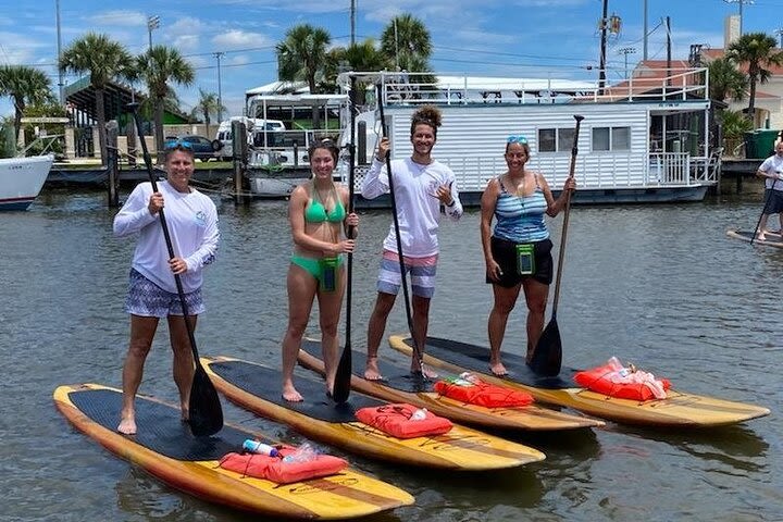 Dolphin and Manatee Stand Up Paddleboard Tour in Daytona Beach image