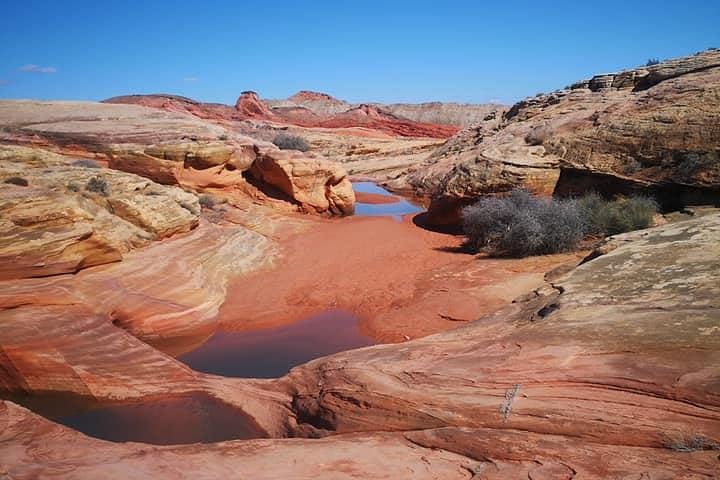 Valley of Fire & Wildlife Photo Expedition from Las Vegas image